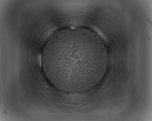 X0000093120022200709261336