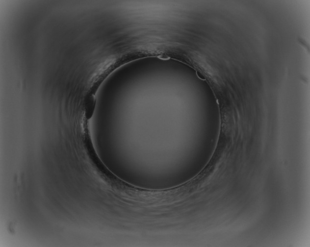 X0000093120023200709261336