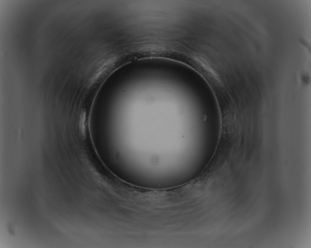 X0000093120024200709261336