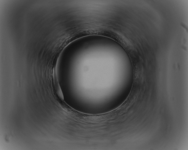 X0000093120025200709261336