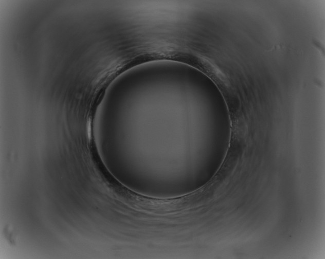 X0000093120027200709261336