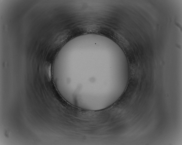 X0000093120028200709261336