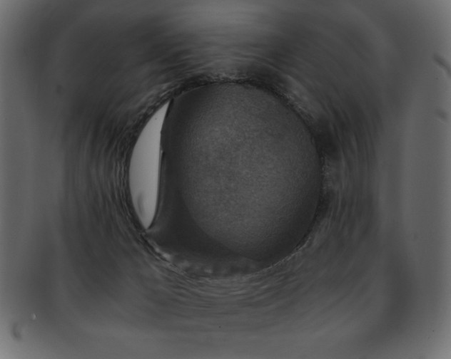 X0000093120029200709261336