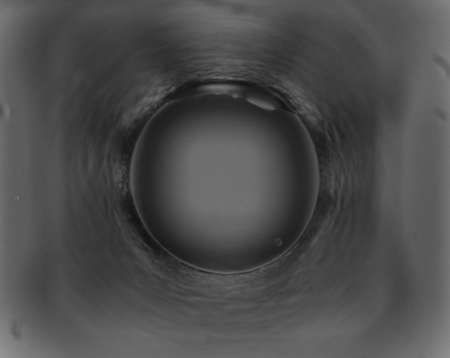X0000093120031200709261336