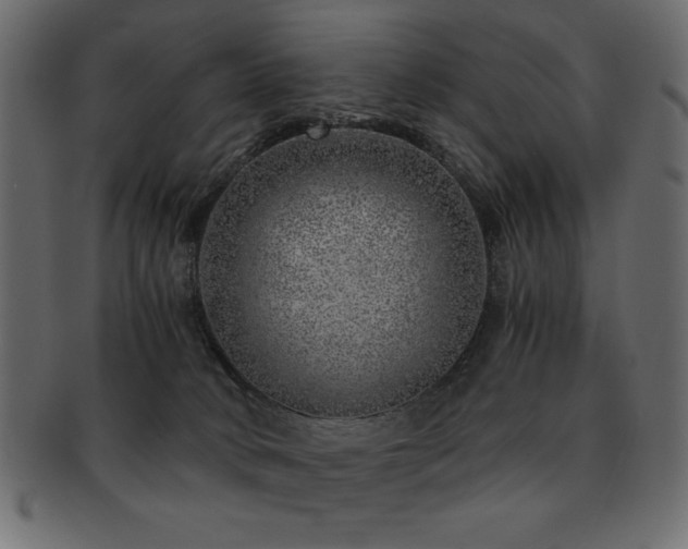 X0000093120034200709261336