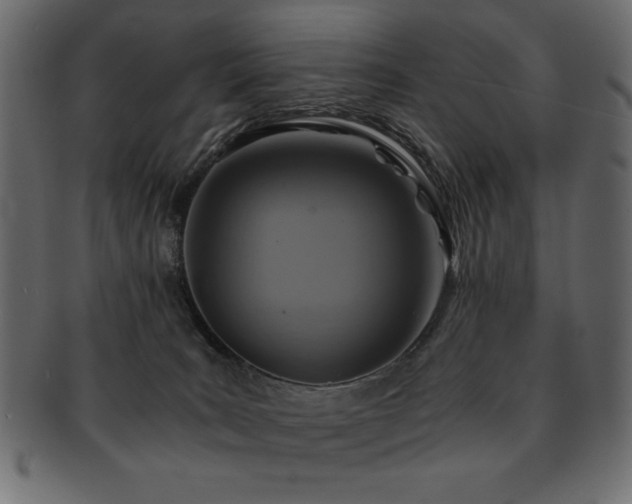 X0000093120035200709261336