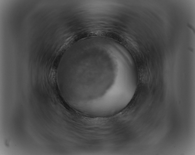 X0000093120036200709261336