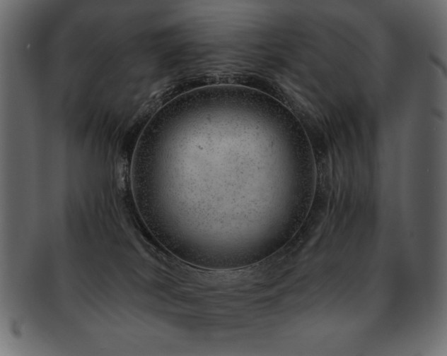 X0000093120038200709261336