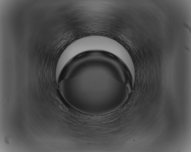 X0000093120039200709261336
