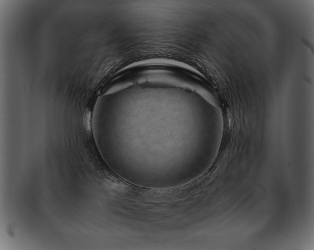 X0000093120041200709261336
