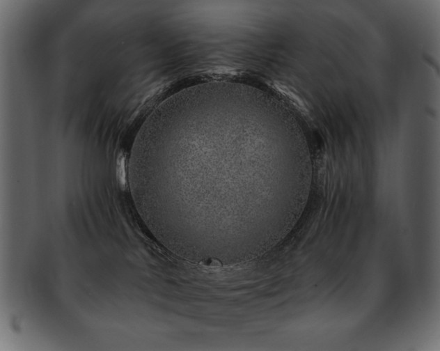X0000093120042200709261336