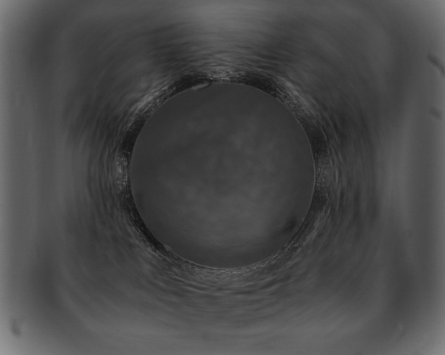 X0000093120043200709261336