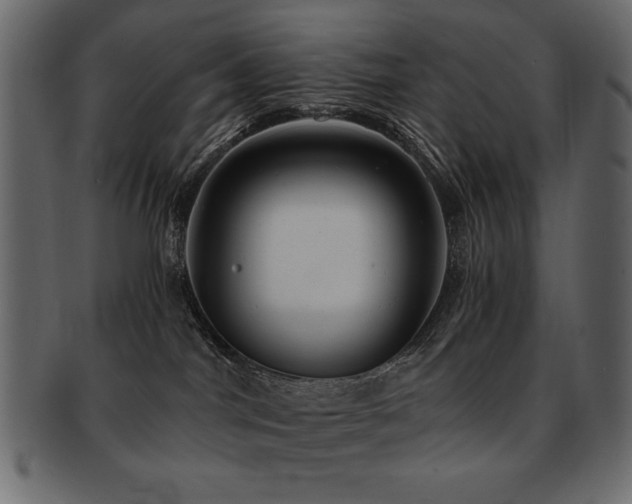 X0000093120044200709261336