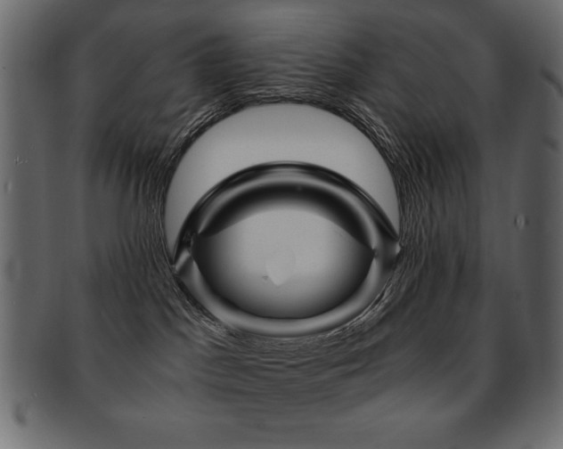 X0000093120045200709261336
