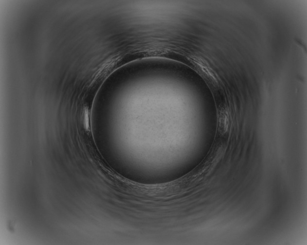 X0000093120046200709261336