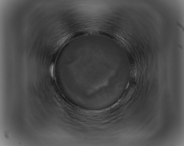 X0000093120047200709261336