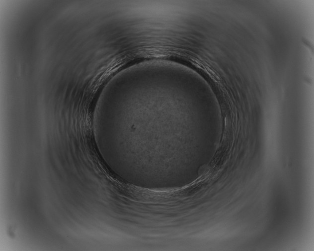 X0000093120048200709261336