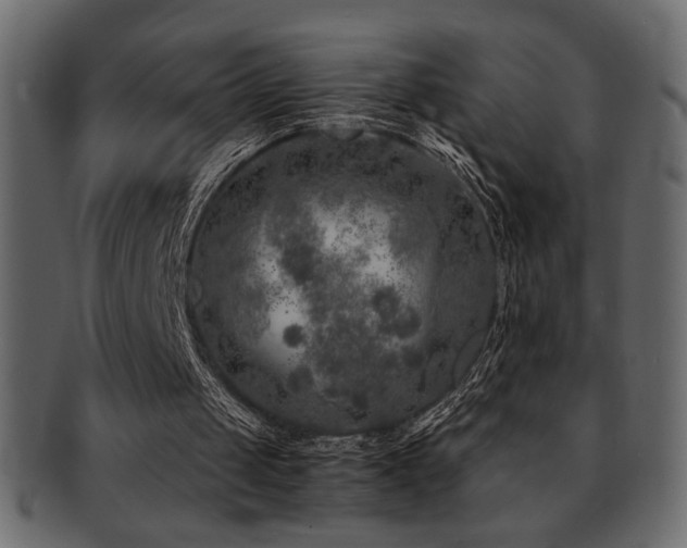 X0000093120049200709261336