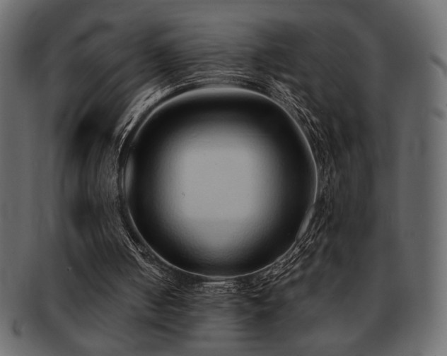 X0000093120050200709261336