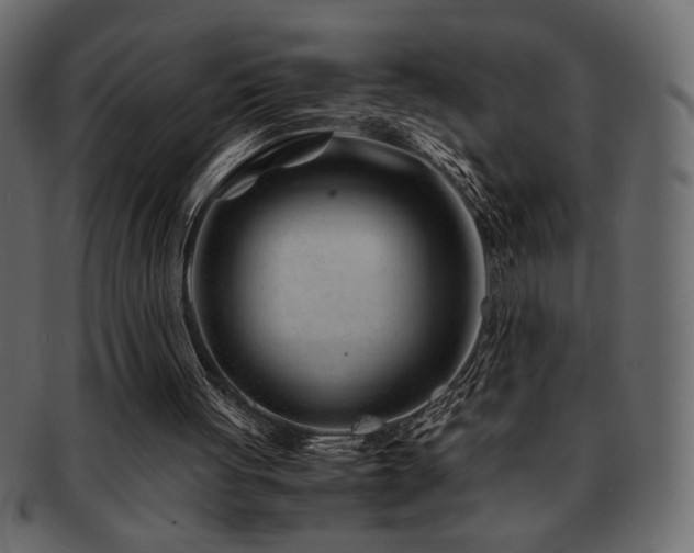 X0000093120051200709261336