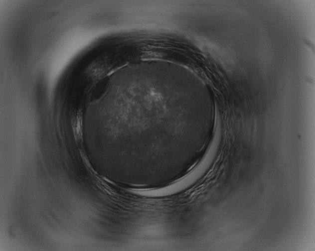 X0000093120052200709261336