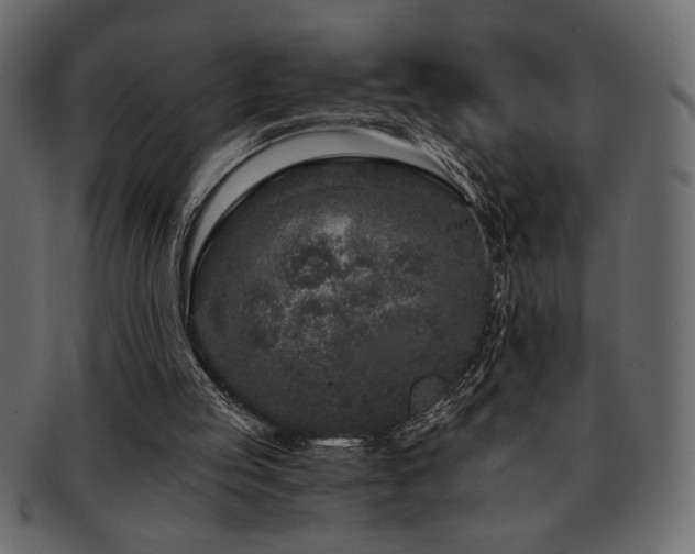 X0000093120053200709261336