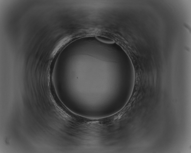 X0000093120054200709261336
