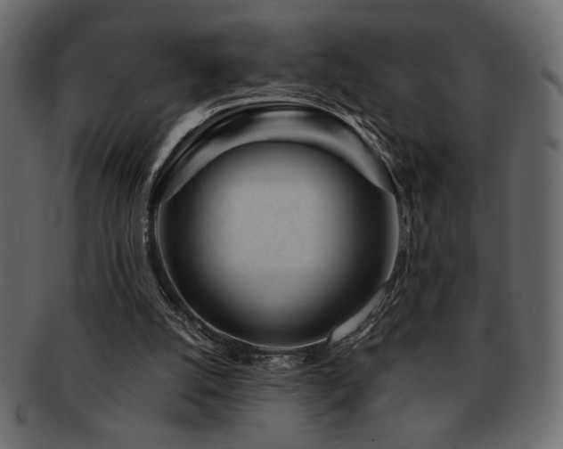 X0000093120056200709261336