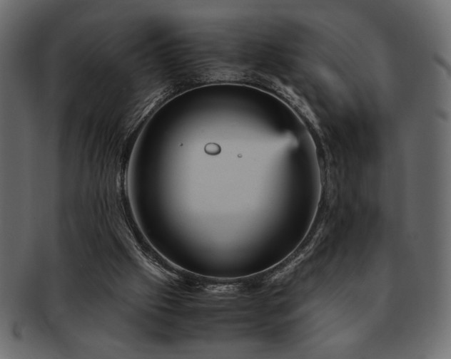 X0000093120057200709261336
