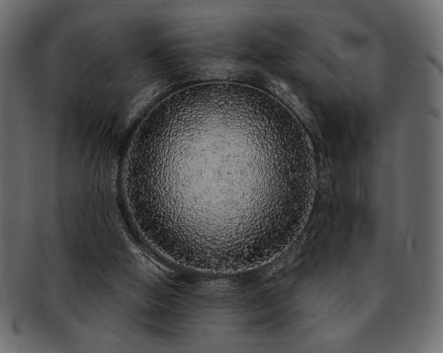 X0000093120058200709261336