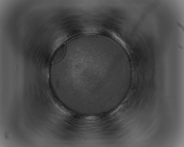 X0000093120059200709261336