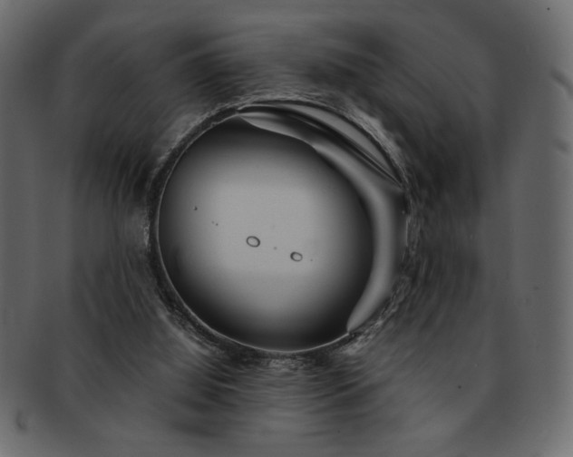 X0000093120060200709261336
