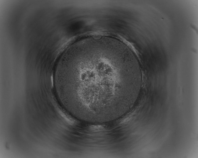 X0000093120061200709261336