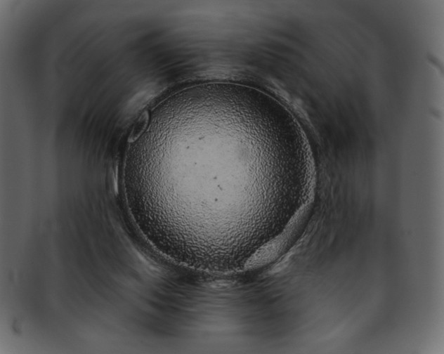 X0000093120062200709261336