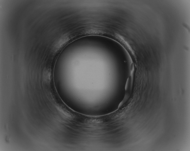 X0000093120063200709261336
