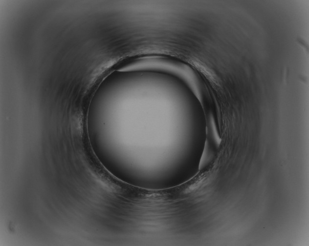X0000093120064200709261336
