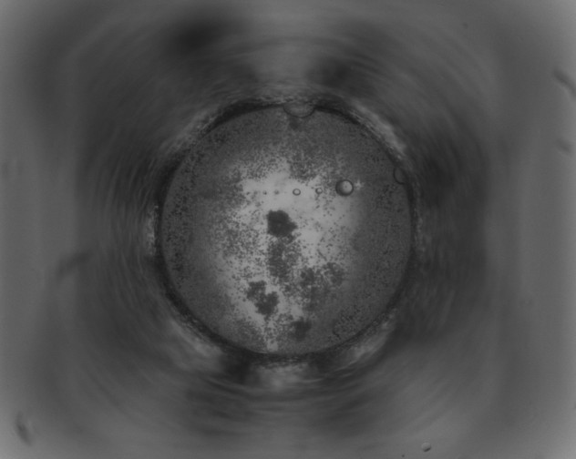 X0000093120065200709261336