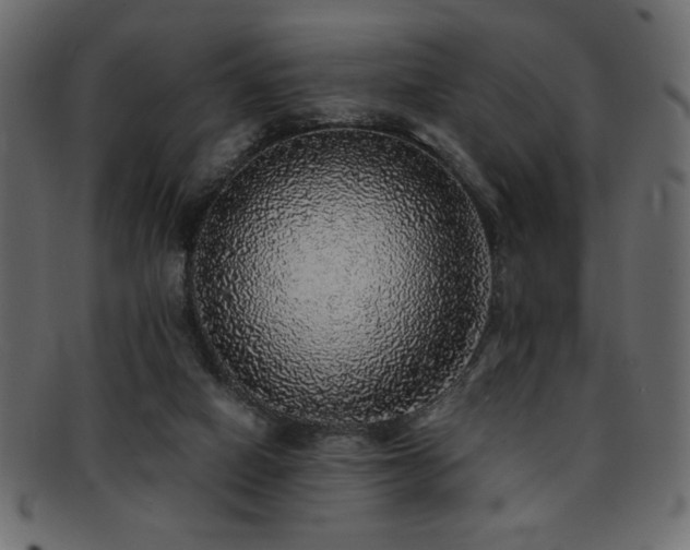 X0000093120066200709261336