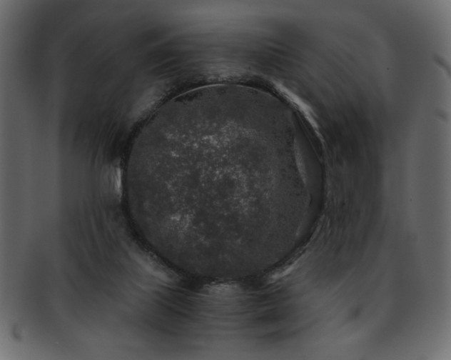 X0000093120067200709261336