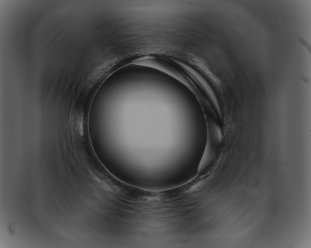 X0000093120068200709261336