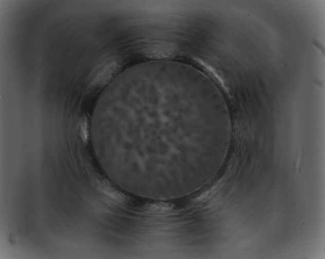 X0000093120069200709261336