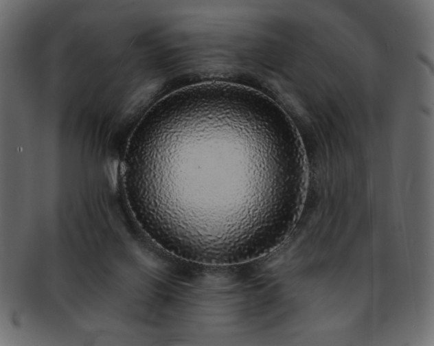 X0000093120070200709261336