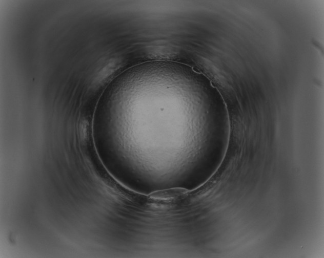 X0000093120071200709261336