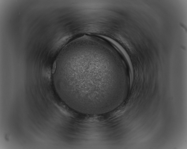 X0000093120072200709261336