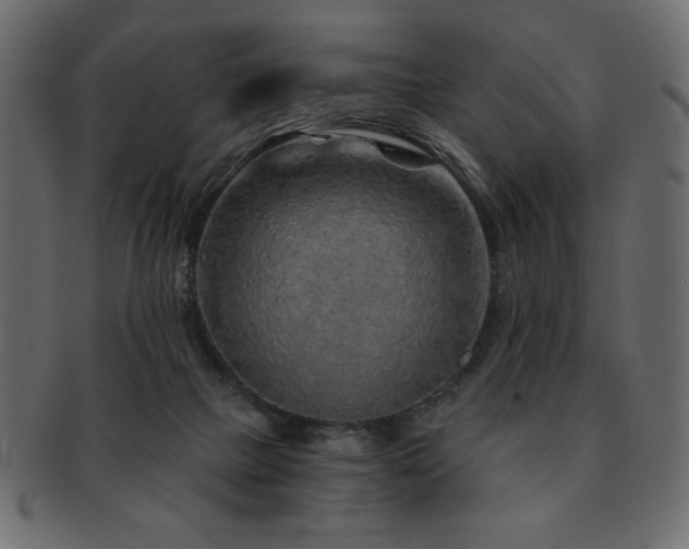 X0000093120073200709261336