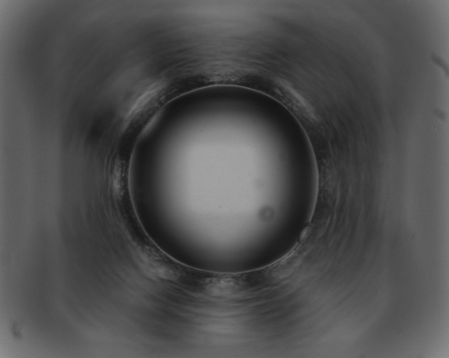 X0000093120074200709261336