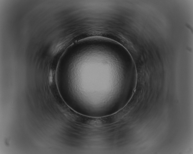 X0000093120075200709261336