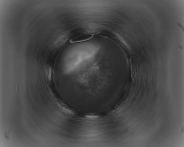 X0000093120076200709261336