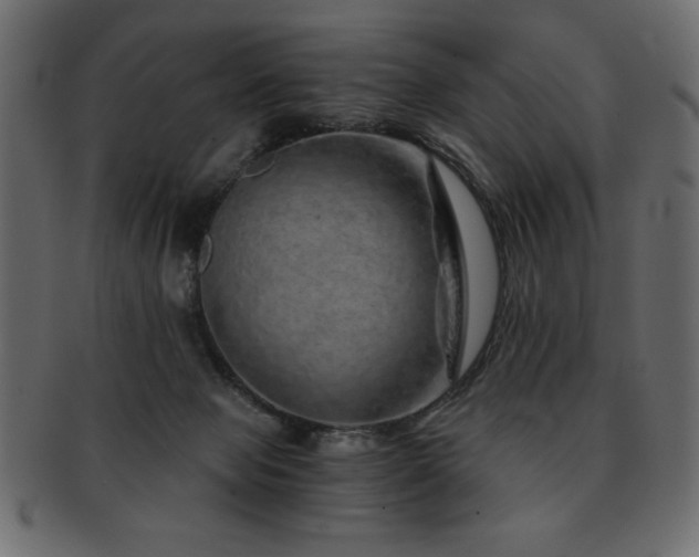 X0000093120077200709261336