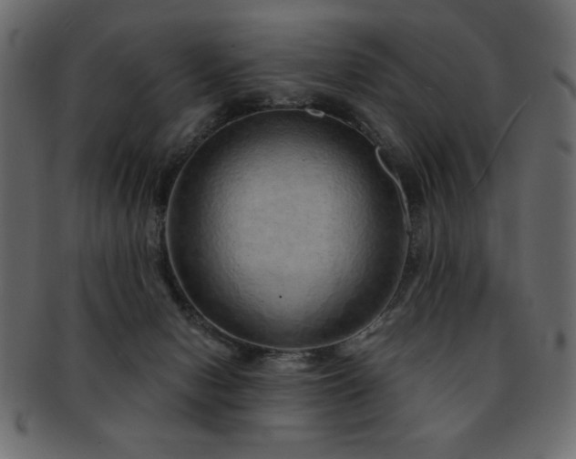 X0000093120078200709261336